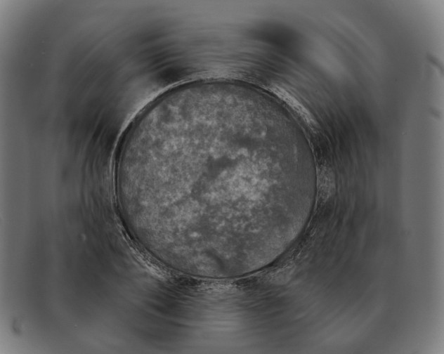 X0000091330886200708311434
