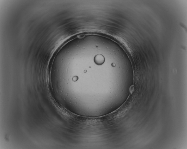 X0000091330887200708311434