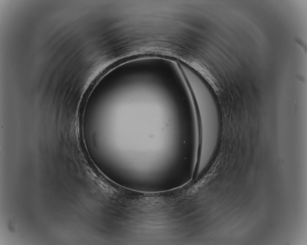 X0000091330888200708311434