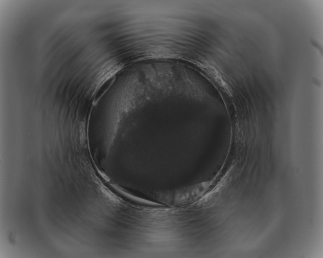X0000091330889200708311434