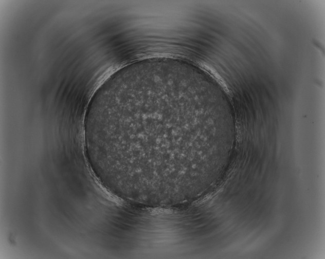 X0000091330890200708311434