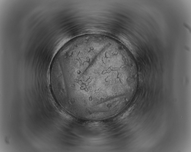 X0000091330891200708311434