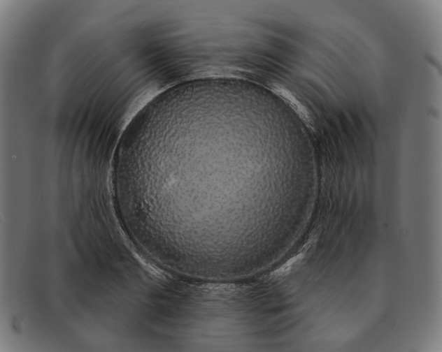 X0000091330893200708311434