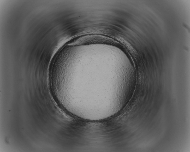 X0000091330894200708311434