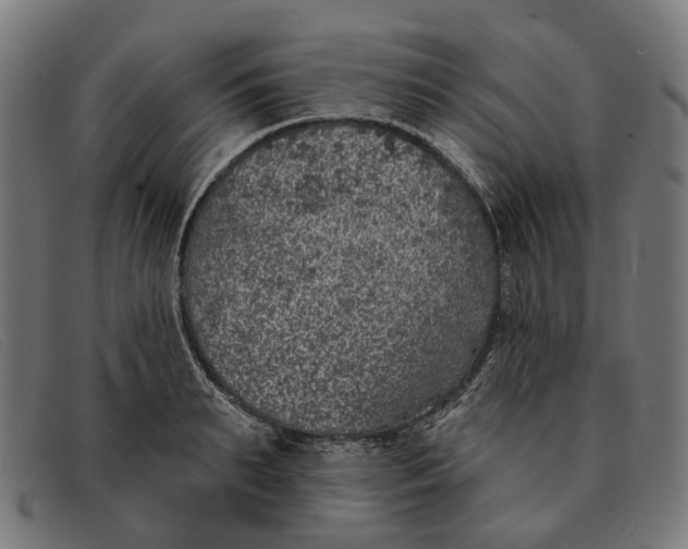 X0000091330895200708311434