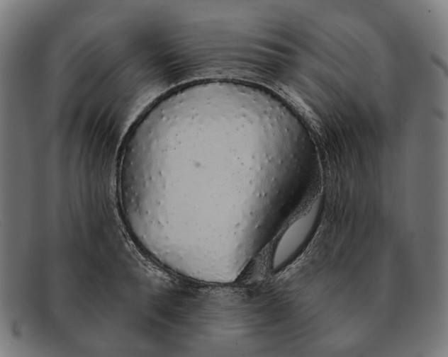 X0000091330896200708311434