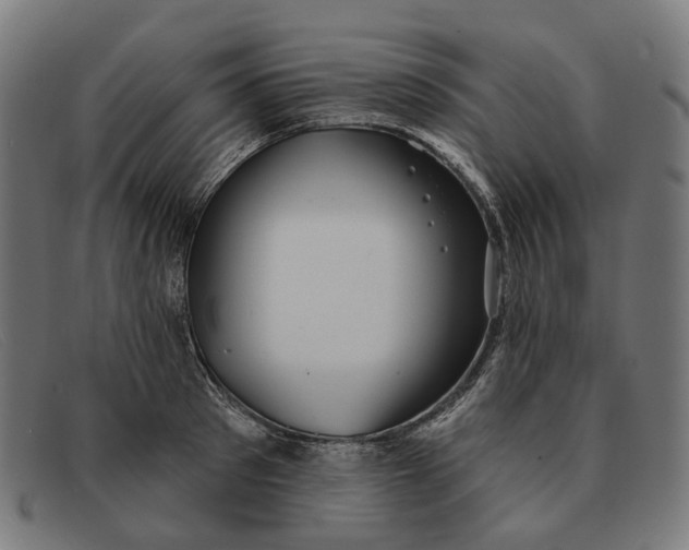 X0000091330897200708311434