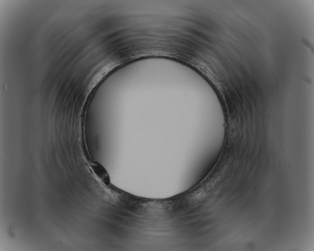 X0000091330898200708311434