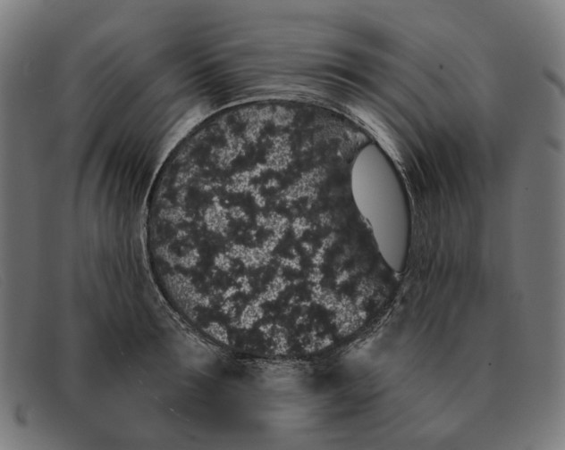 X0000091330899200708311434