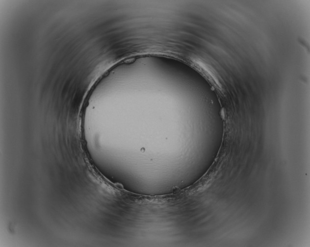X0000091330900200708311434