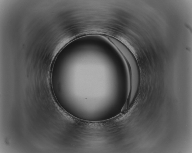 X0000091330901200708311434