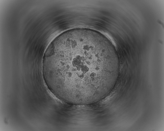 X0000091330903200708311434