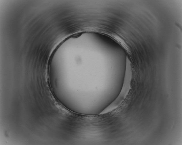 X0000091330904200708311434