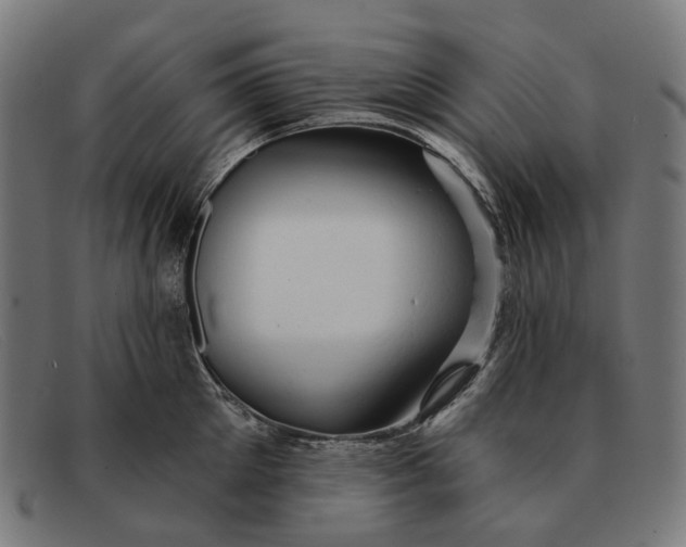 X0000091330905200708311434
