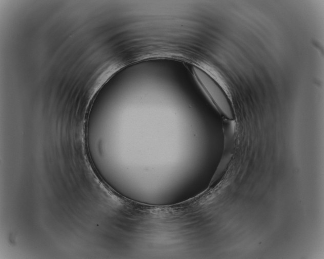 X0000091330906200708311434