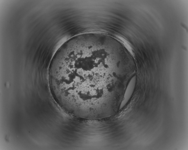 X0000091330907200708311434