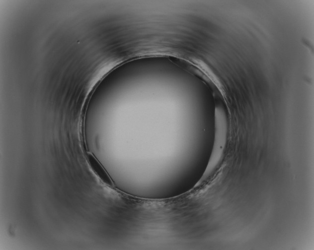 X0000091330909200708311434