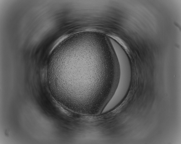 X0000091330910200708311434