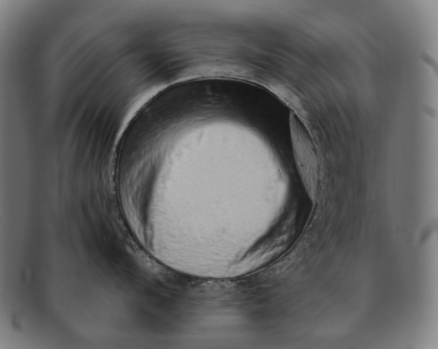 X0000091330912200708311434