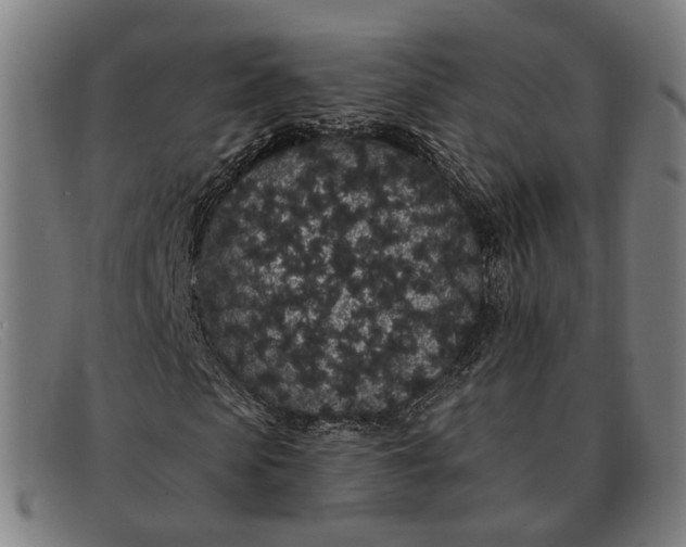 X0000091330913200708311433