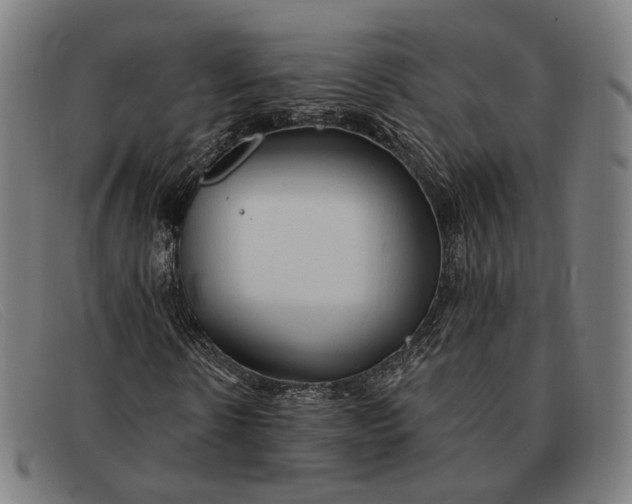 X0000091330914200708311433
