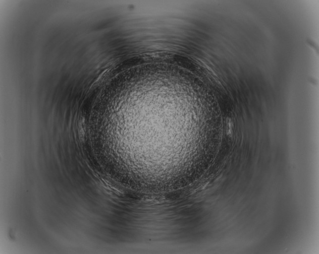 X0000091330915200708311433