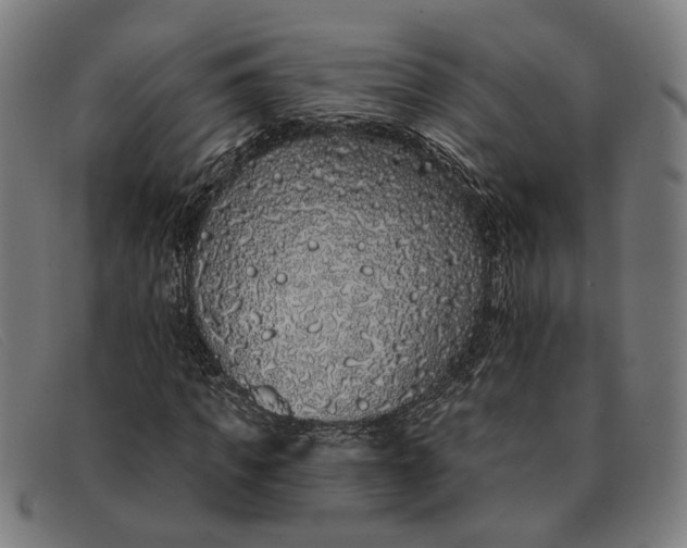 X0000091330917200708311433
