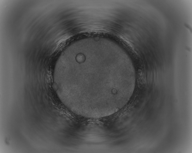 X0000091330918200708311433