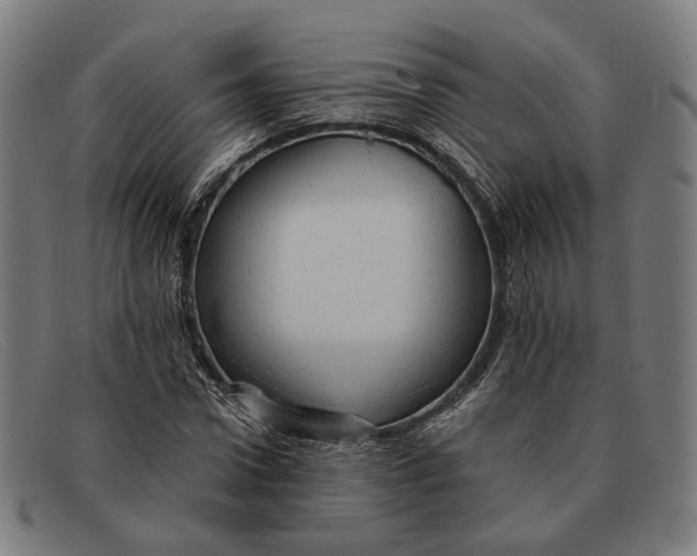 X0000091330922200708311433