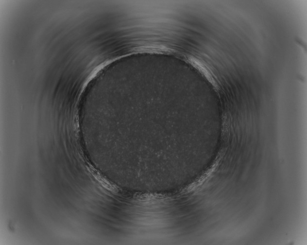 X0000091330923200708311433