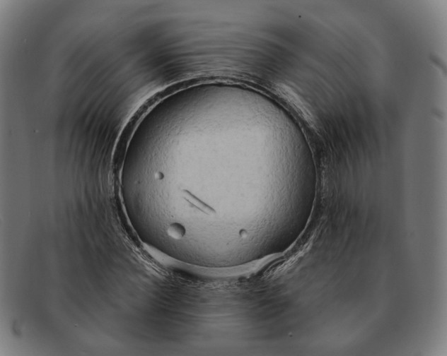 X0000091330924200708311433