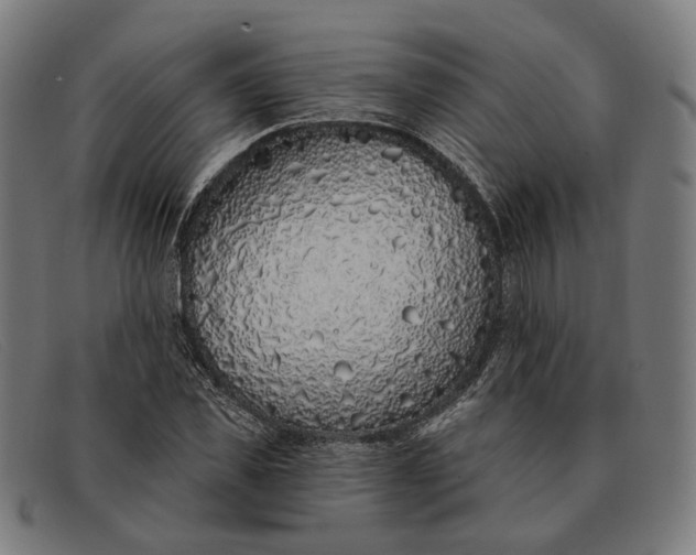 X0000091330925200708311433