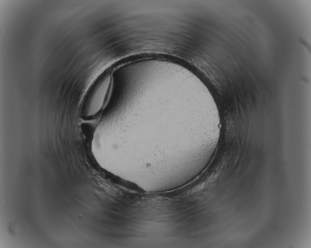 X0000091330926200708311433