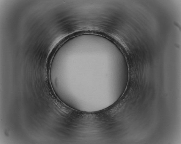 X0000091330927200708311433