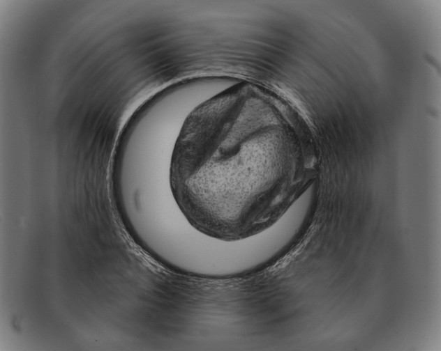 X0000091330928200708311433