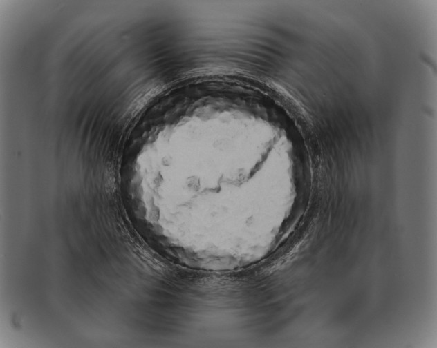 X0000091330929200708311434