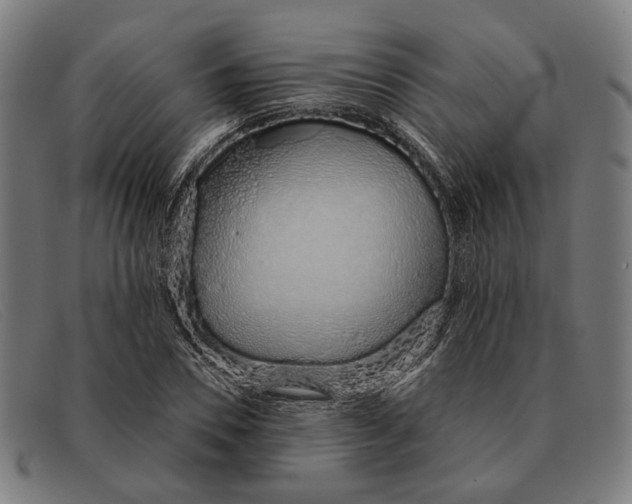 X0000091330930200708311434