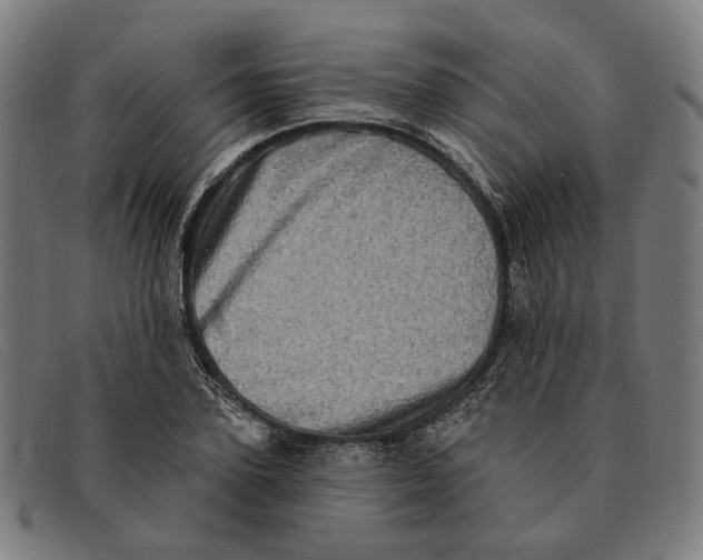 X0000091330931200708311434