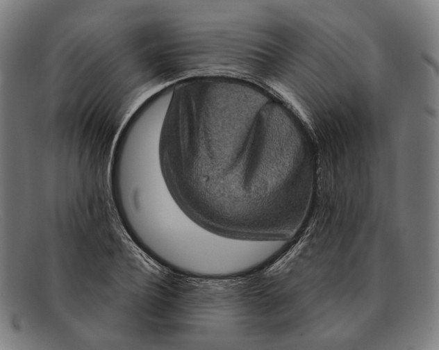 X0000091330932200708311434