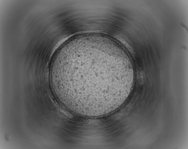 X0000091330933200708311434