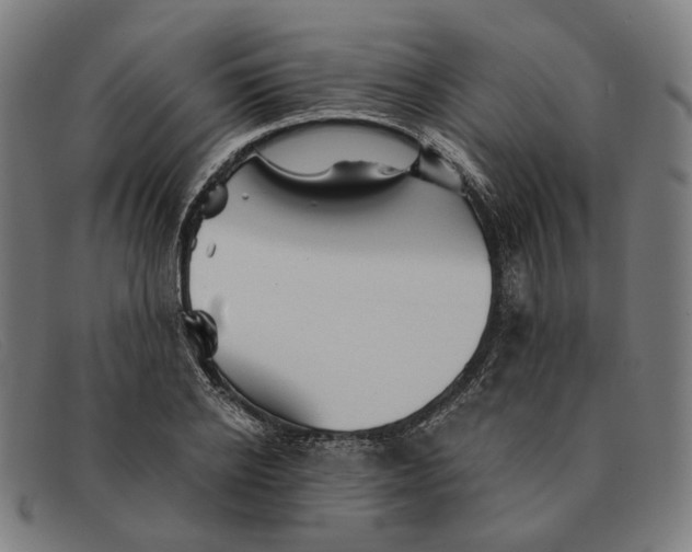 X0000091330934200708311434