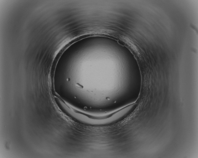 X0000091330936200708311434