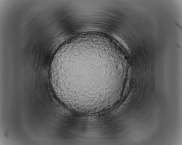 X0000091330937200708311434