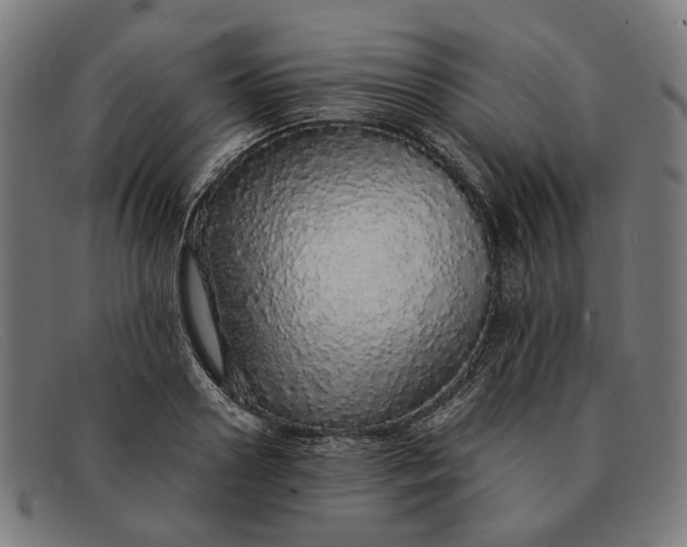 X0000091330938200708311434