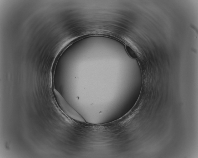 X0000091330940200708311434