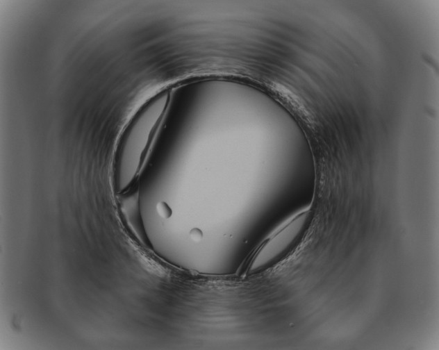 X0000091330942200708311434