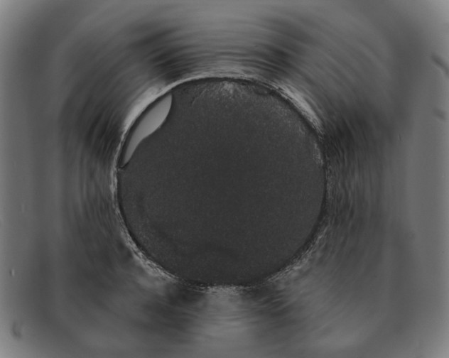 X0000091330944200708311434
