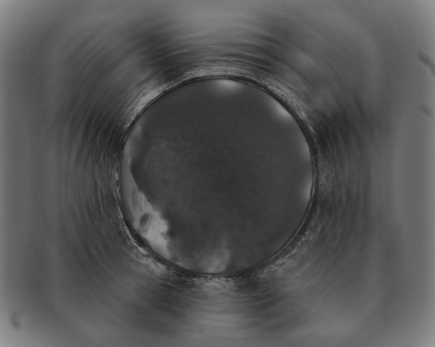 X0000091330945200708311434