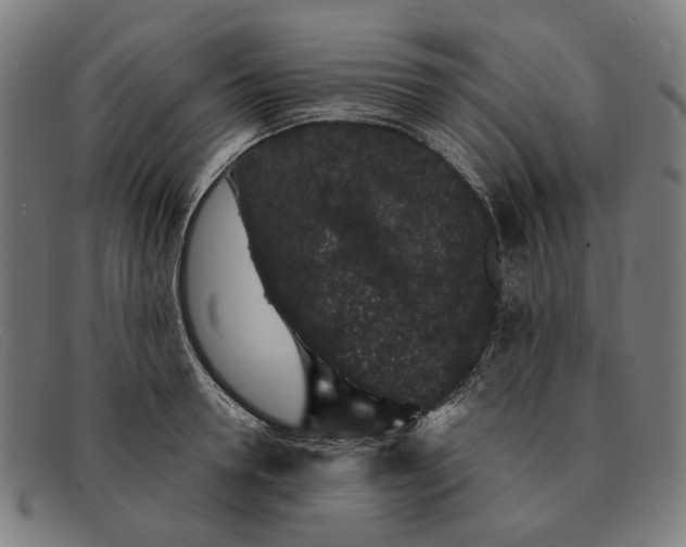 X0000091330946200708311434