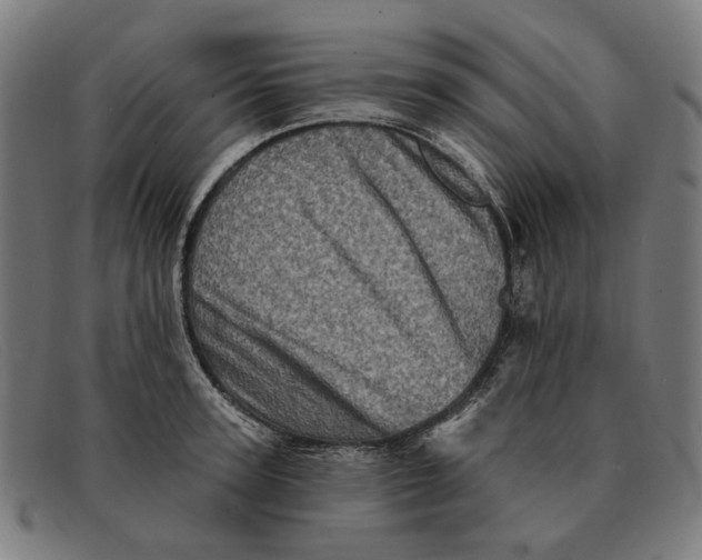 X0000091330947200708311434